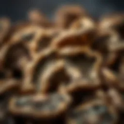 Delicate layers of dried porcini mushrooms showcasing their intricate textures.