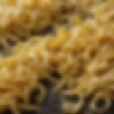 Close-up of freshly made pasta strands