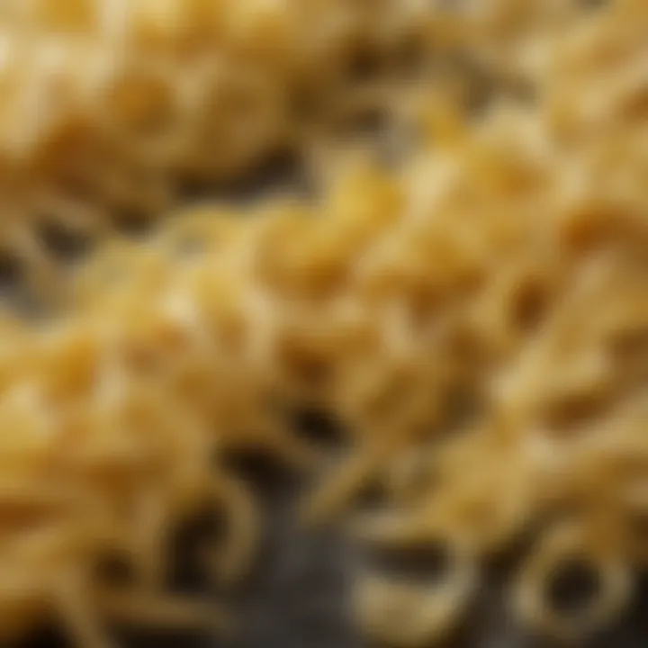 Close-up of freshly made pasta strands