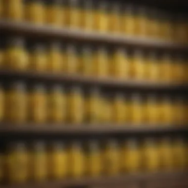 Storage Solutions for Lemonade Ingredients Various types of jars used for storing lemonade ingredients for optimal flavor preservation