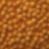 A close-up view of Whole Foods Panko showcasing its texture and color.