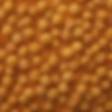 A close-up view of Whole Foods Panko showcasing its texture and color.