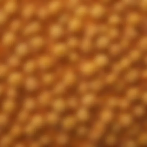 A close-up view of Whole Foods Panko showcasing its texture and color.