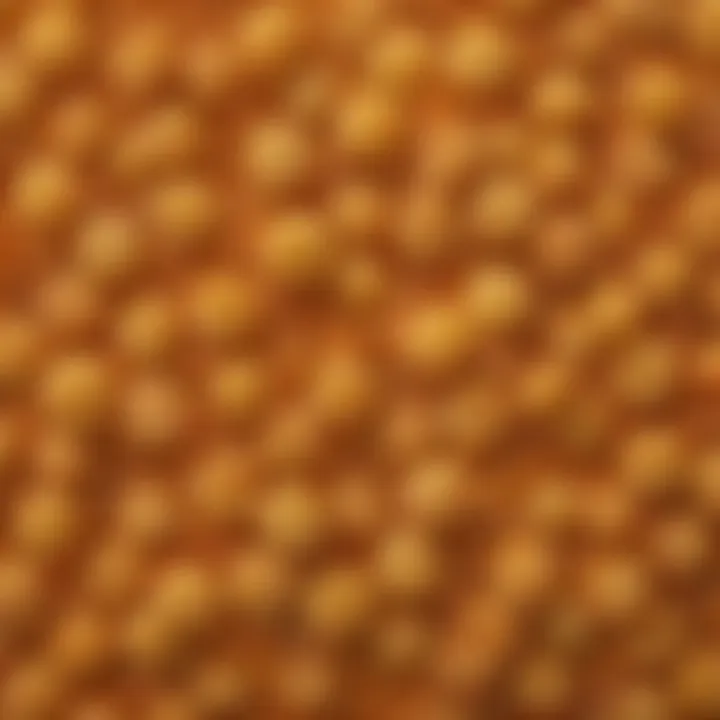 A close-up view of Whole Foods Panko showcasing its texture and color.