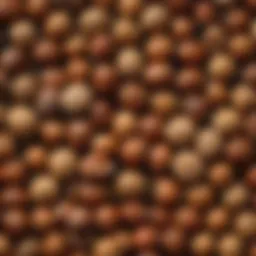 A side-by-side comparison of filberts and hazelnuts showcasing their distinct shells