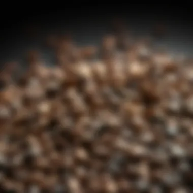 An assortment of coffee beans for filterless brewing