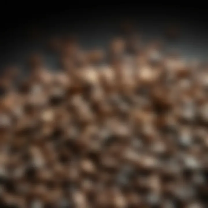 An assortment of coffee beans for filterless brewing