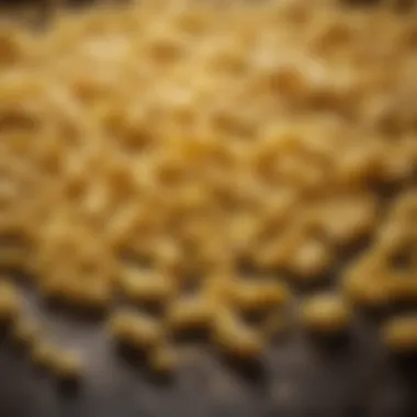 Fresh macaroni shaped pasta