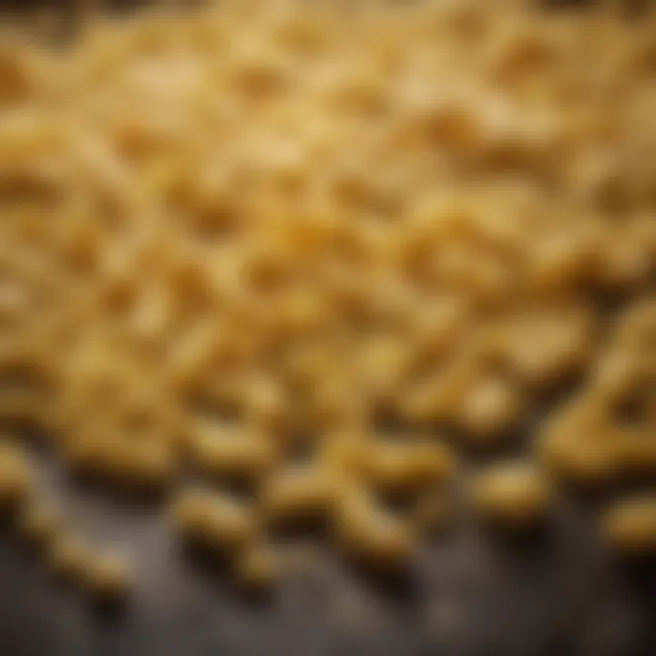 Fresh macaroni shaped pasta