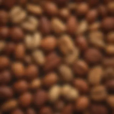 A variety of nuts displayed in an artistic manner, showcasing their textures