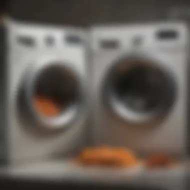 Before and after showing washer cleanliness