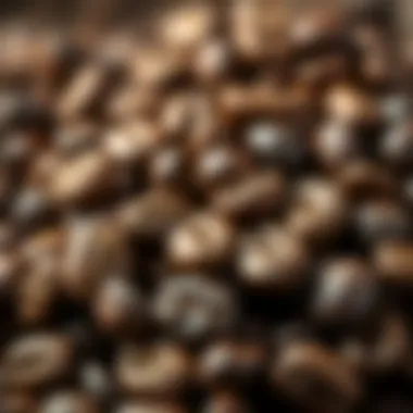 Textures and Colors of Roasted Beans Close-up of roasted coffee beans revealing unique textures and colors.