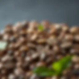A selection of premium coffee beans showcasing diverse origins and profiles.