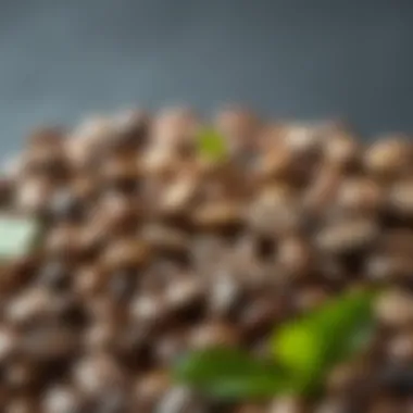 Diverse Origins of Coffee Beans A selection of premium coffee beans showcasing diverse origins and profiles.