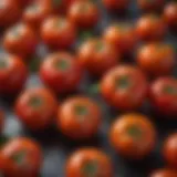 Fresh tomatoes showcasing their vibrant colors and textures