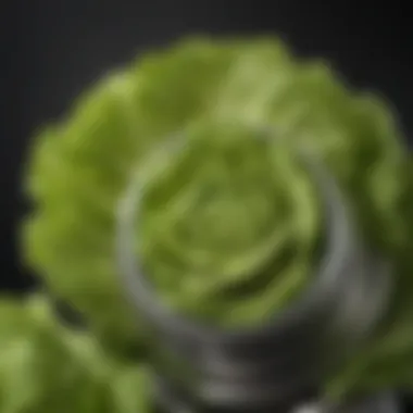 Close-up view of lettuce inside a stainless steel spinner, emphasizing its functionality.