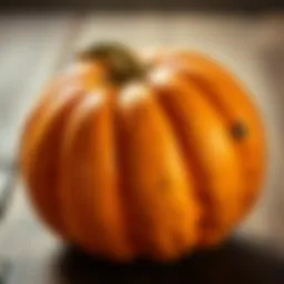 A close-up of a perfectly ripe acorn squash showcasing its unique shape and texture.
