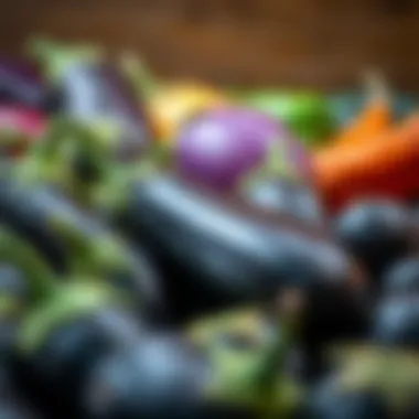 A selection of vibrant eggplants showcasing different varieties.