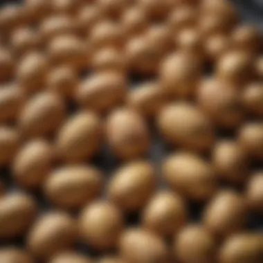 Variety of potatoes ready for air frying