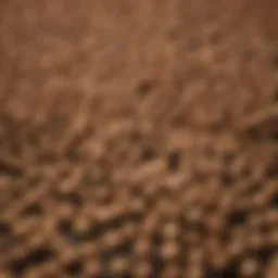 A beautifully arranged assortment of wood pellets in various flavors.