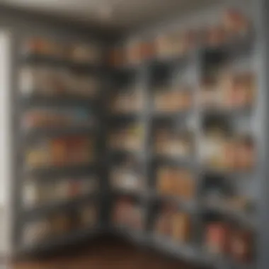 Organized pantry showcasing accessibility and efficient storage solutions