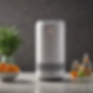 Insights from Consumer Feedback on Molekule Products Consumer feedback on Molekule air purifiers