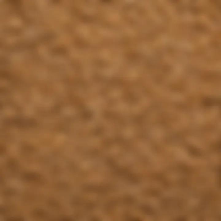Close-up of Nabisco Shredded Wheat Biscuits showcasing their texture and structure