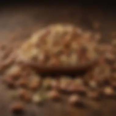 Powerful Nuts and Seeds A selection of nuts and seeds representing healthy fats