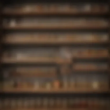 Showcasing an Organized Spice Shelf An organized spice shelf showcasing various jars and containers with labels.