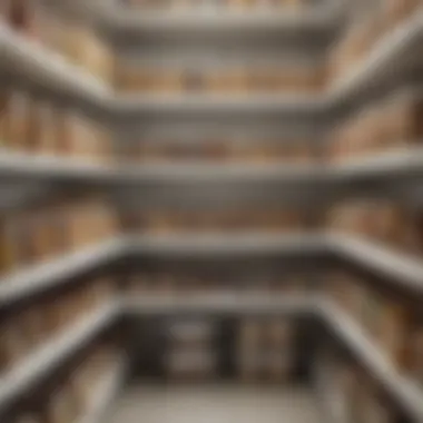 A neatly organized pantry featuring airtight containers for different food items, demonstrating effective storage solutions.