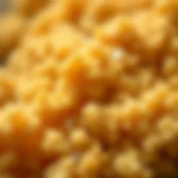 A close-up of panko breadcrumbs showcasing their unique texture and color.