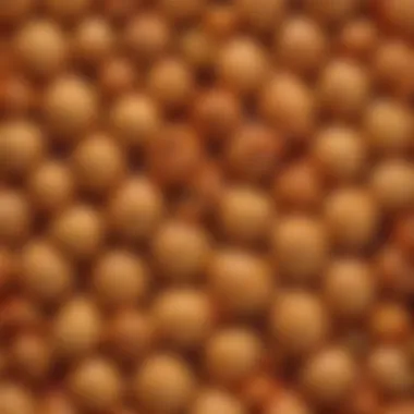 Close-up view showcasing the texture of Quepapas