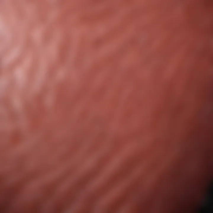 Close-up of sablefish fillet showcasing its rich texture