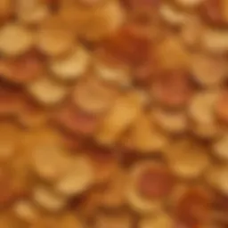 A close-up of Scorching BBQ Pringles showcasing their unique texture and color.