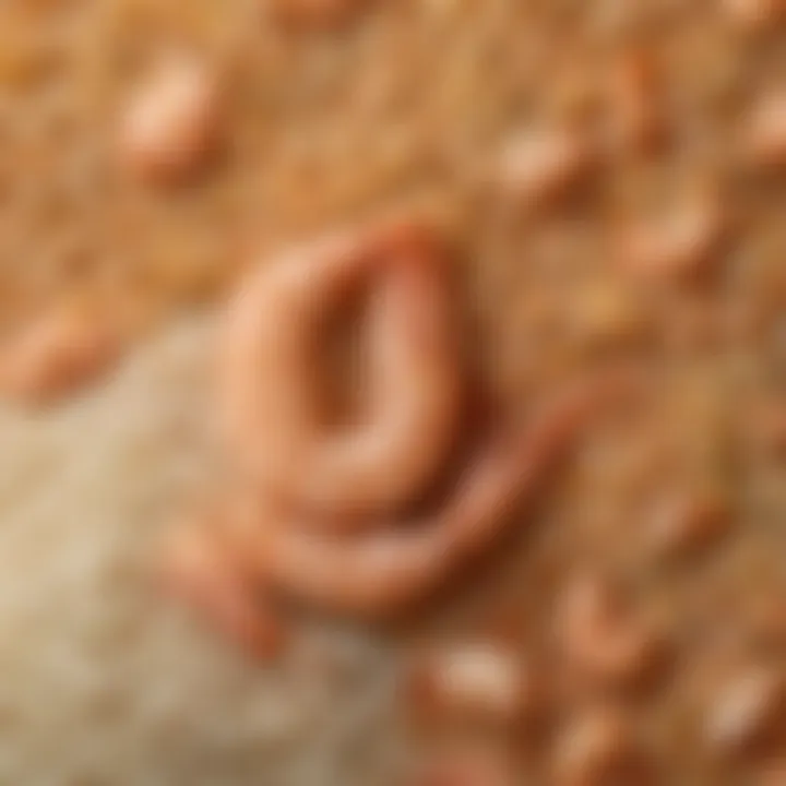 A close-up of shrimp alongside grains, highlighting texture.