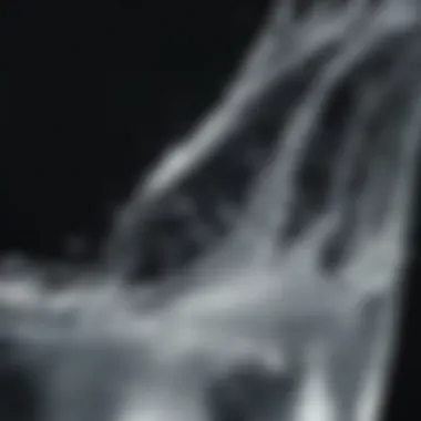 The Effervescence of Sparkling Water Sparkling water poured into a glass with bubbles visible