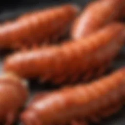 Lobster tails ready for steaming