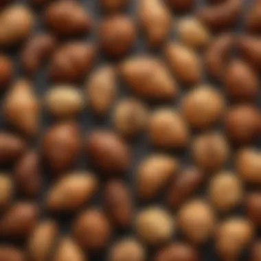 An array of croissant variations, including almond and chocolate, displayed artfully.