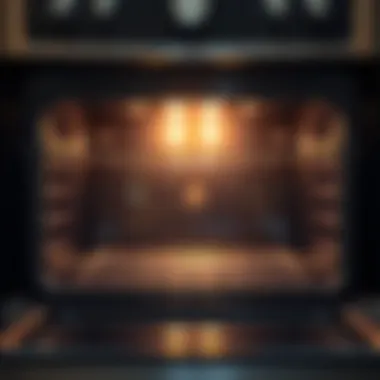 Transforming Your Oven's Cleanliness Before and after oven cleaning results