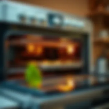 Tips for Ongoing Oven Maintenance Maintaining a clean oven with natural methods