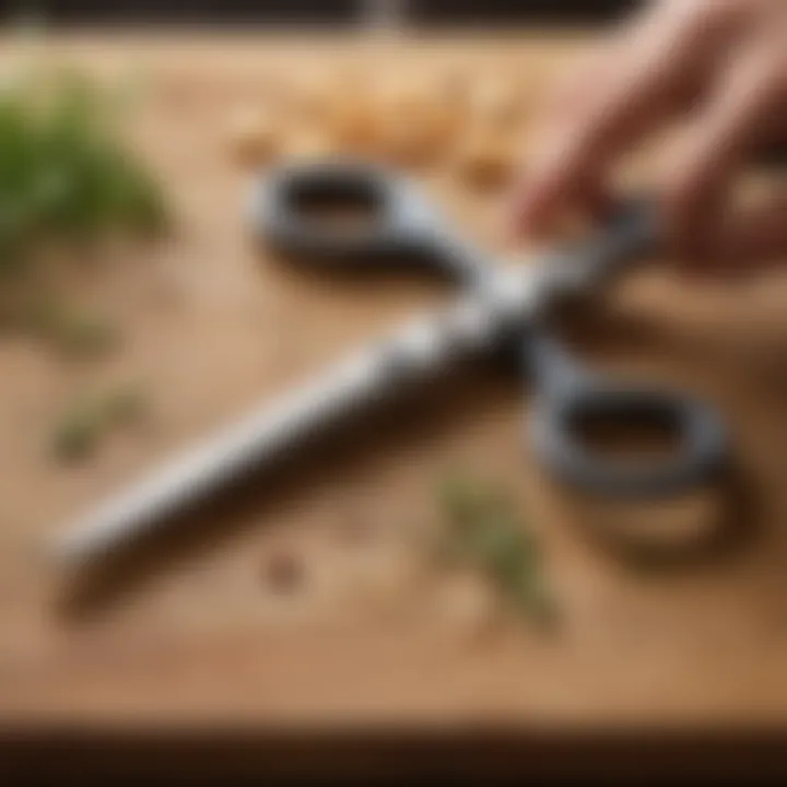 Visual guide of proper handling of kitchen shears