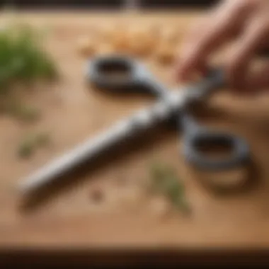 Proper Handling of Kitchen Shears Visual guide of proper handling of kitchen shears