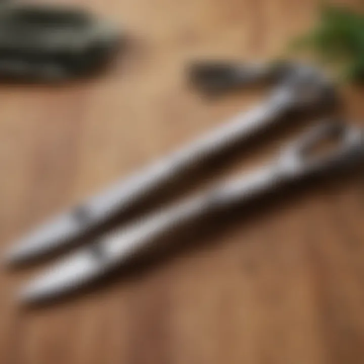 Close-up of kitchen shears showcasing unique features