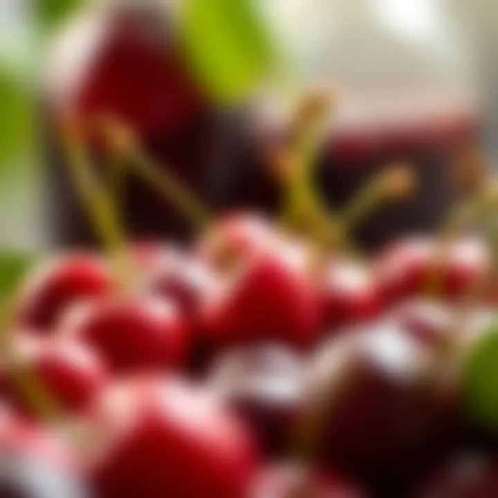 Fresh Cherries: The Heart of Kirsch Close-up of fresh cherries with kirsch in the background