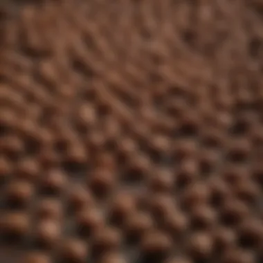 A selection of different flavored chocolate coated peanuts displayed on a rustic background