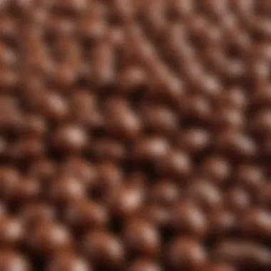 A close-up of chocolate coated peanuts showcasing their glossy surface