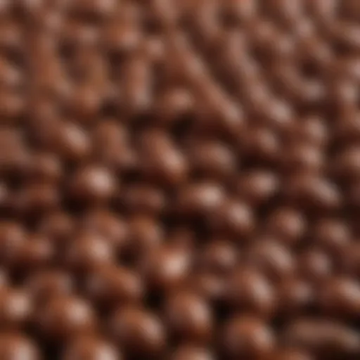 A close-up of chocolate coated peanuts showcasing their glossy surface