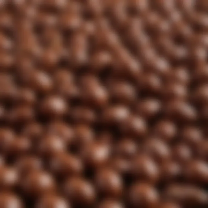 A close-up of chocolate coated peanuts showcasing their glossy surface