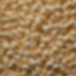 A close-up view of freshly popped popcorn showcasing its fluffy texture.