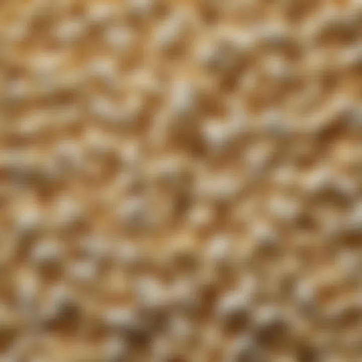 A close-up view of freshly popped popcorn showcasing its fluffy texture.